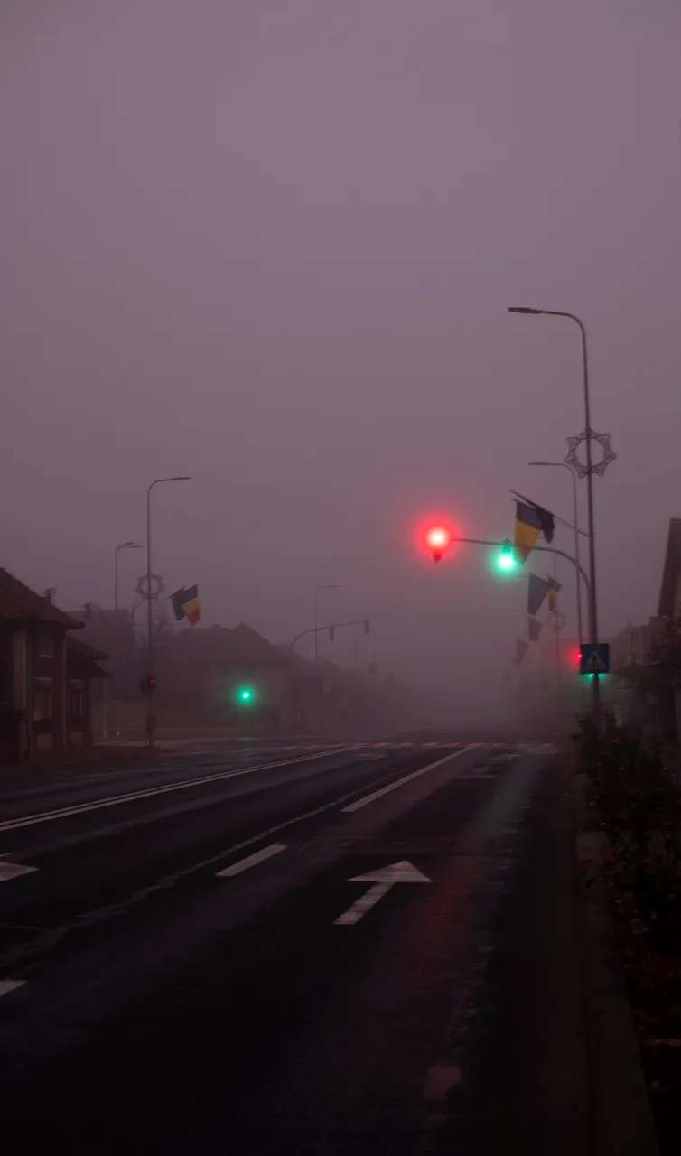 fog5.jpg