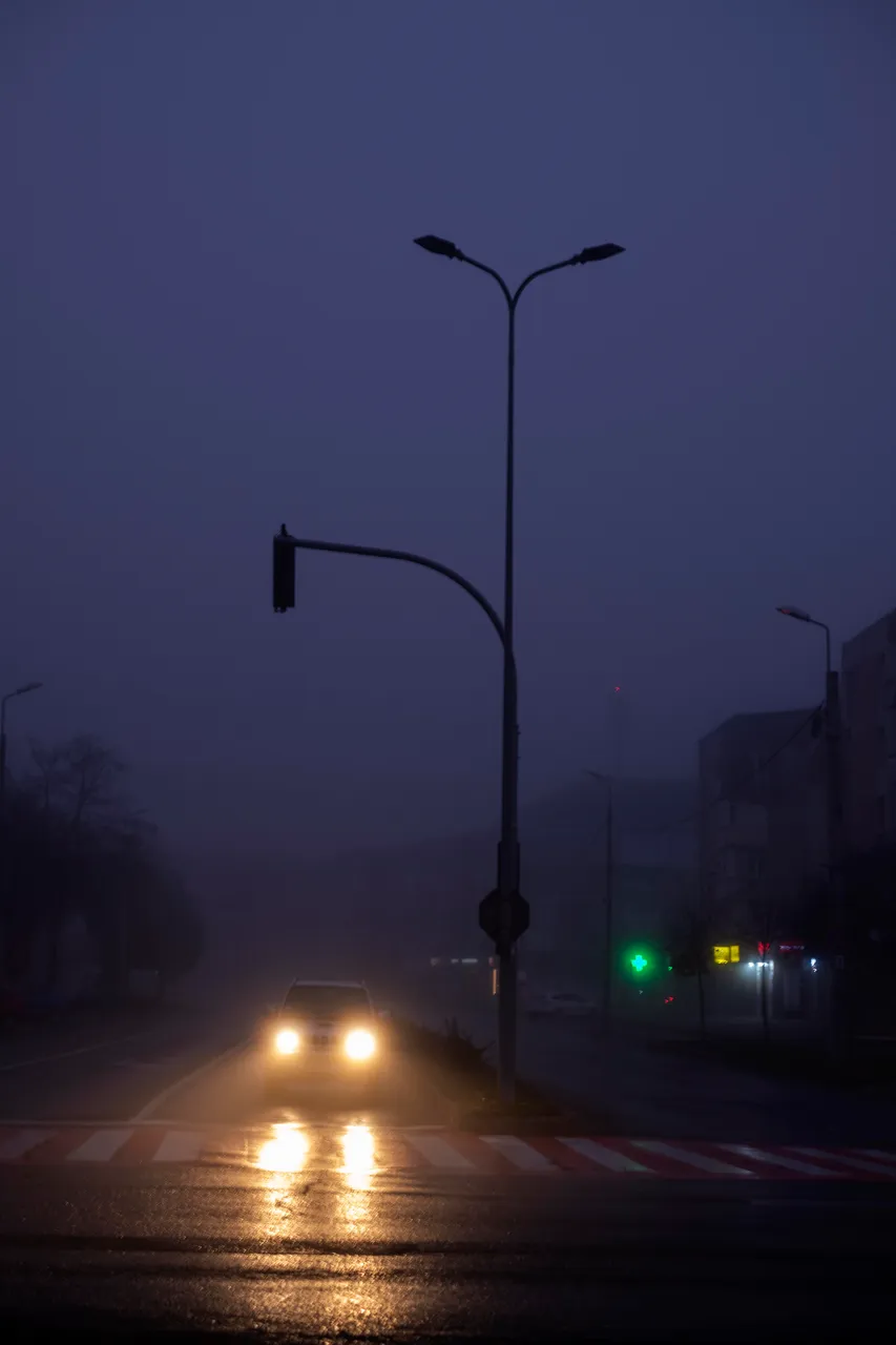 fog4.jpg