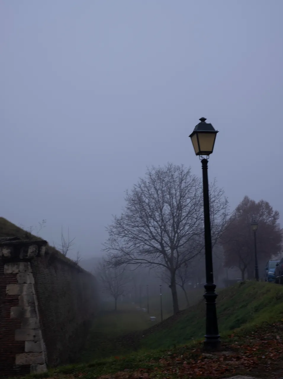 fog6.jpg