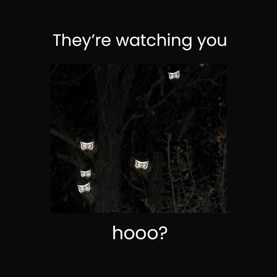 hooo.jpg