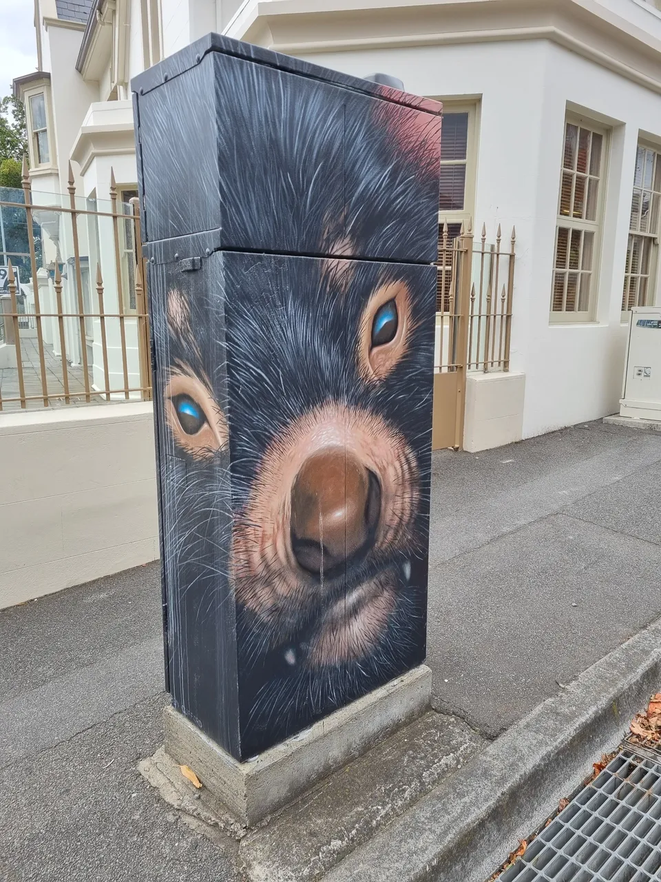 This is probably THE coolest traffic light control cabinet painting I’ve EVER seen! (This thing controls the traffic lights and in some towns/cities in Australia they paint them. But this one of the local and endangered **Tasmanian Devil** takes the cake!)