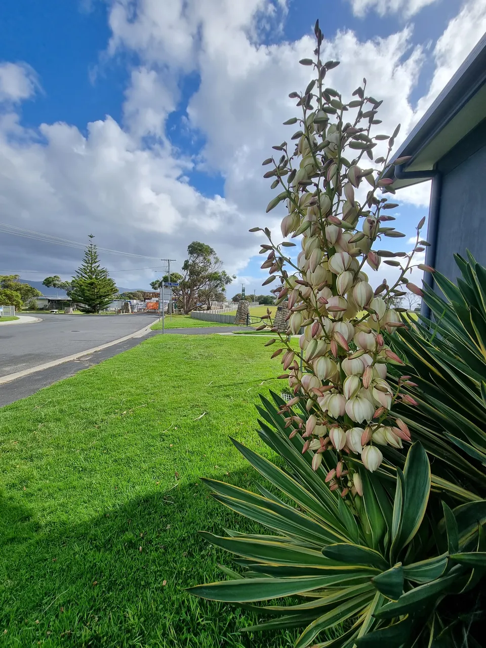 So, my friends, that’s it for Bicheno! It is truly a stunning little town. If you’re ever in Tassie I can highly recommend you include it in your itinerary. But we warned, even in March (which is only just the start of Autumn/Fall here) it can be really, really cold.