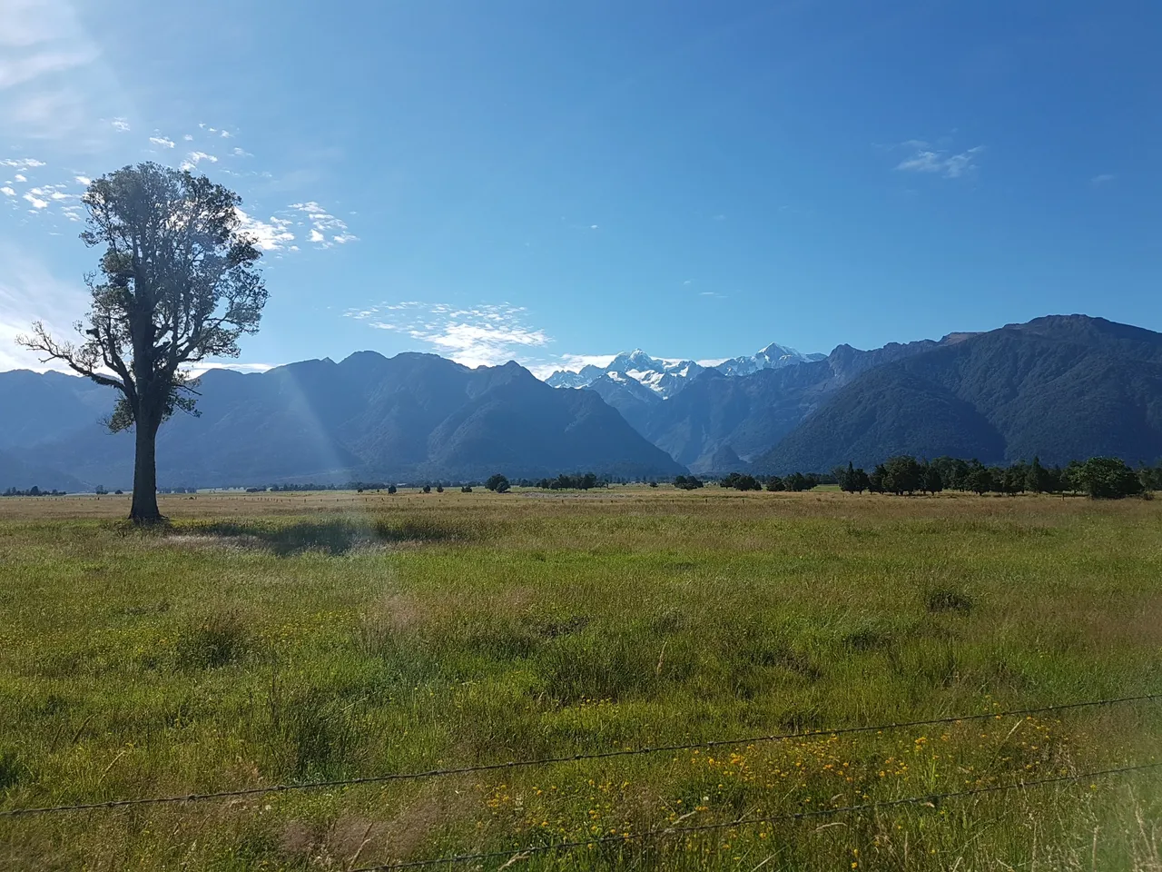 View of Mount Cook and Mount Tasman