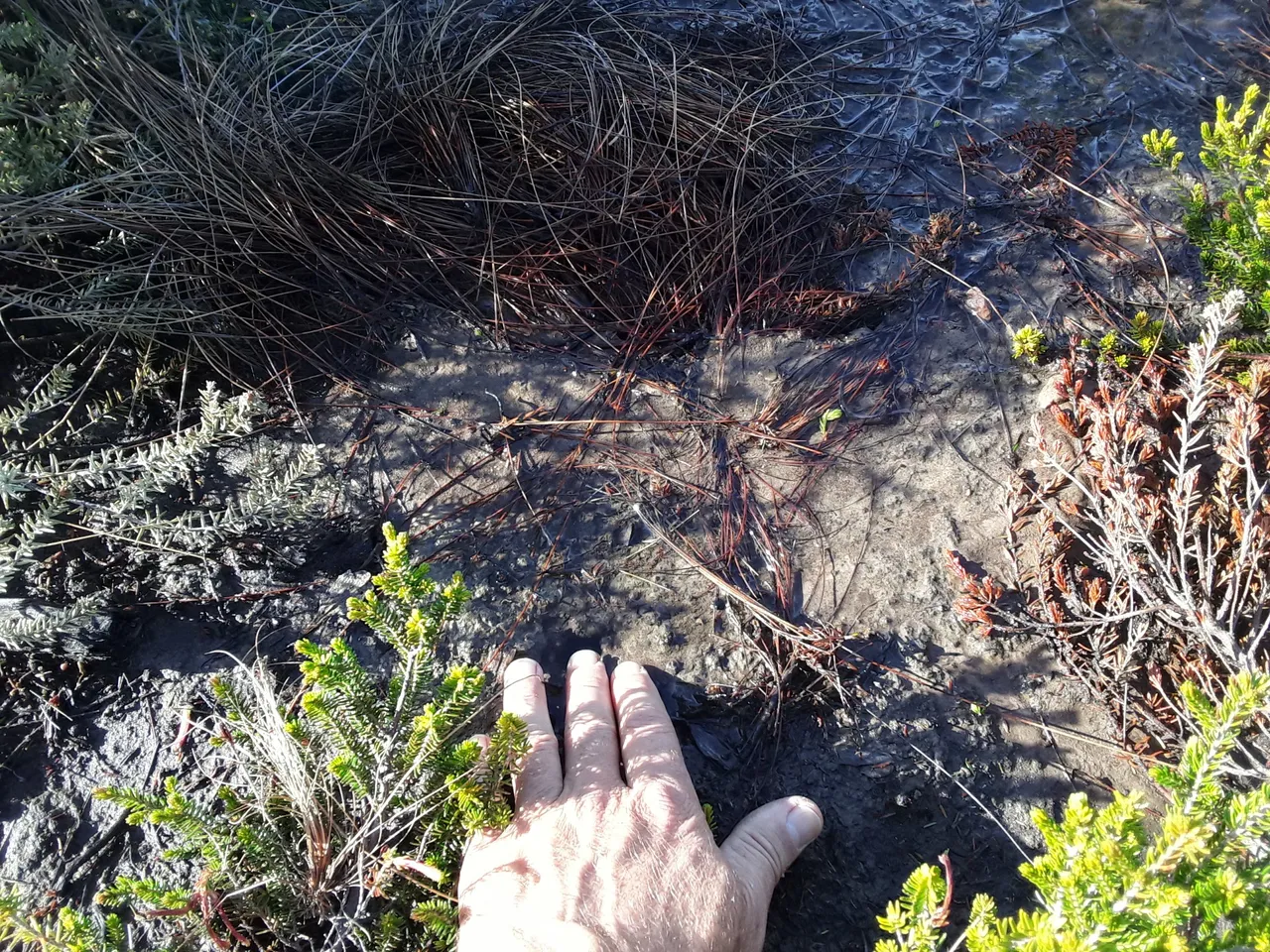 Here I found fresh tasty water just bubbling out of the ground