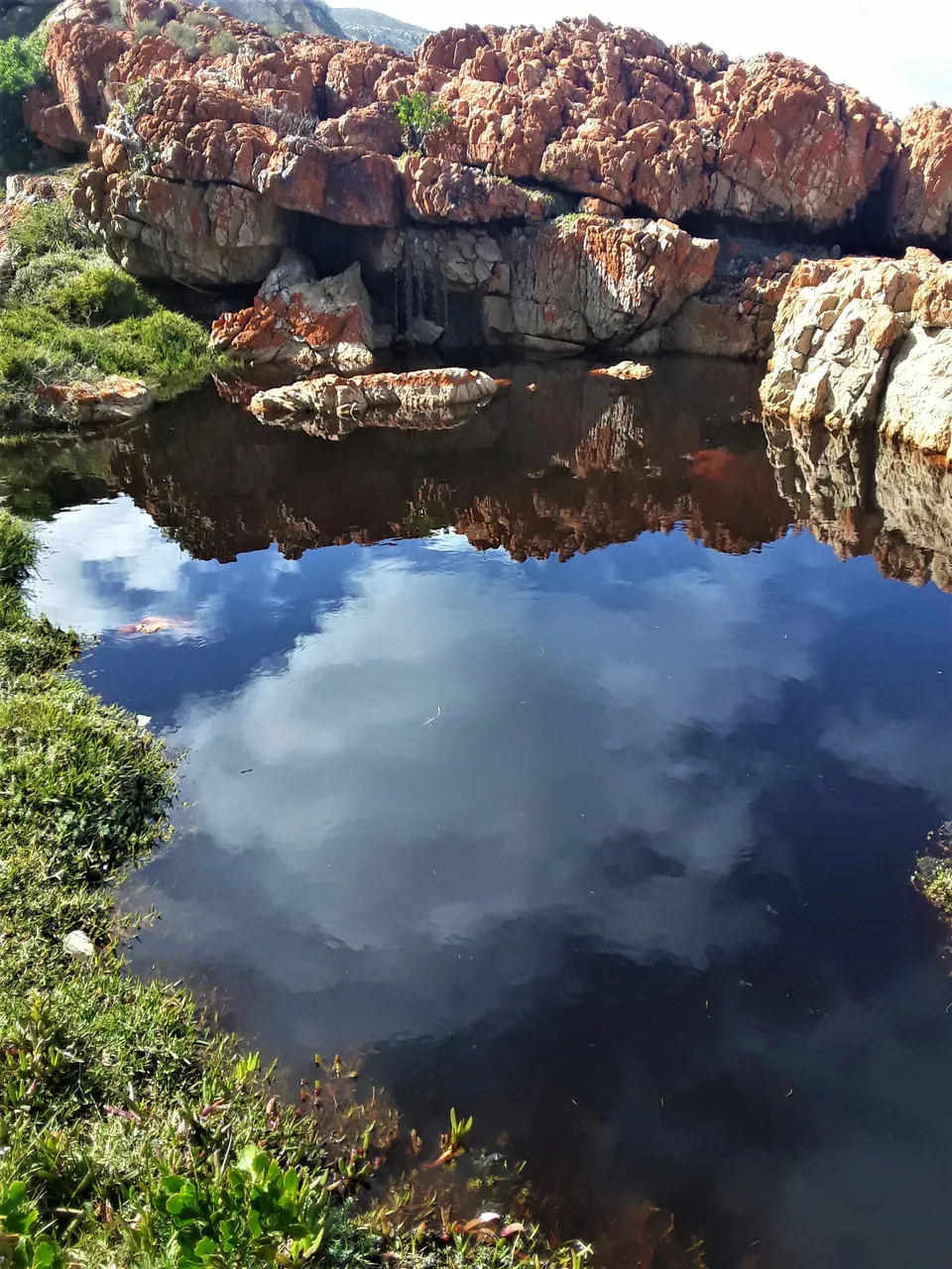 A reflective moment to contemplate the harmony of nature