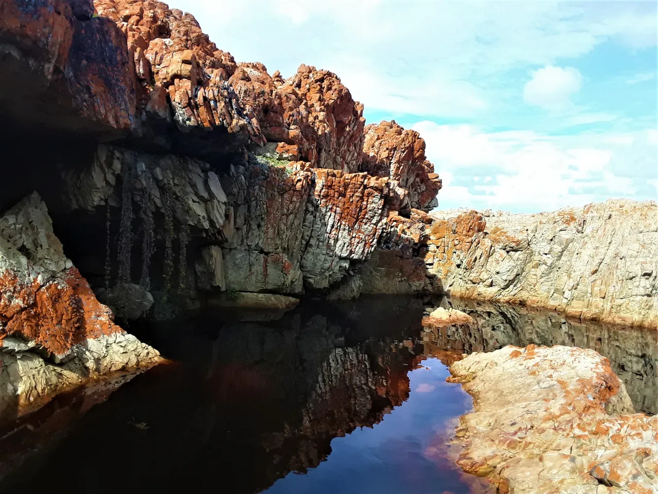 The fresh water pool just before it enters the ocean, look at the dark tannin-filled river water