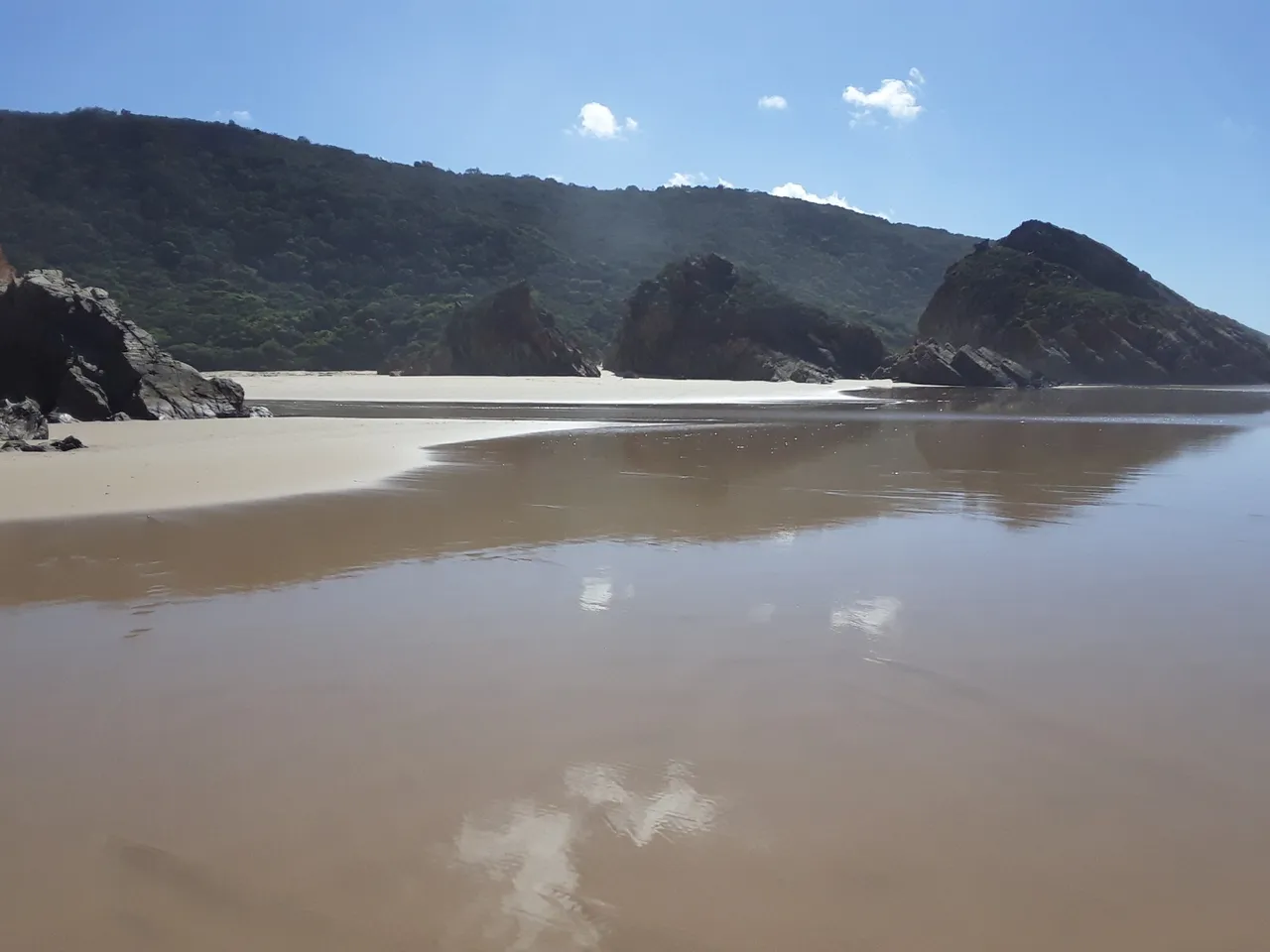 River mouth on the spotless nature paradise beachfront