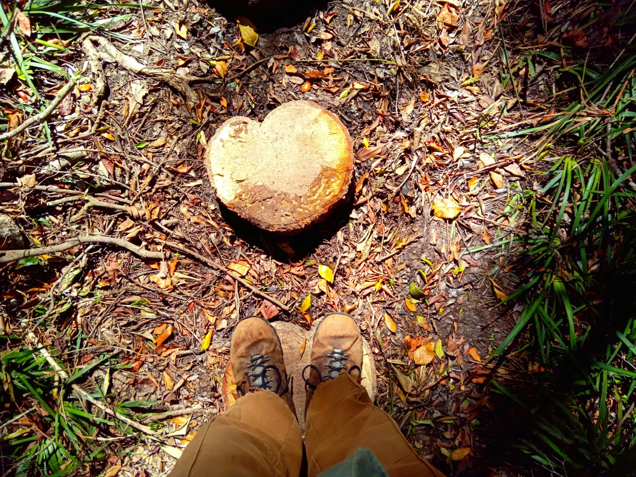 Standing on the Stepping Stones made of logs.