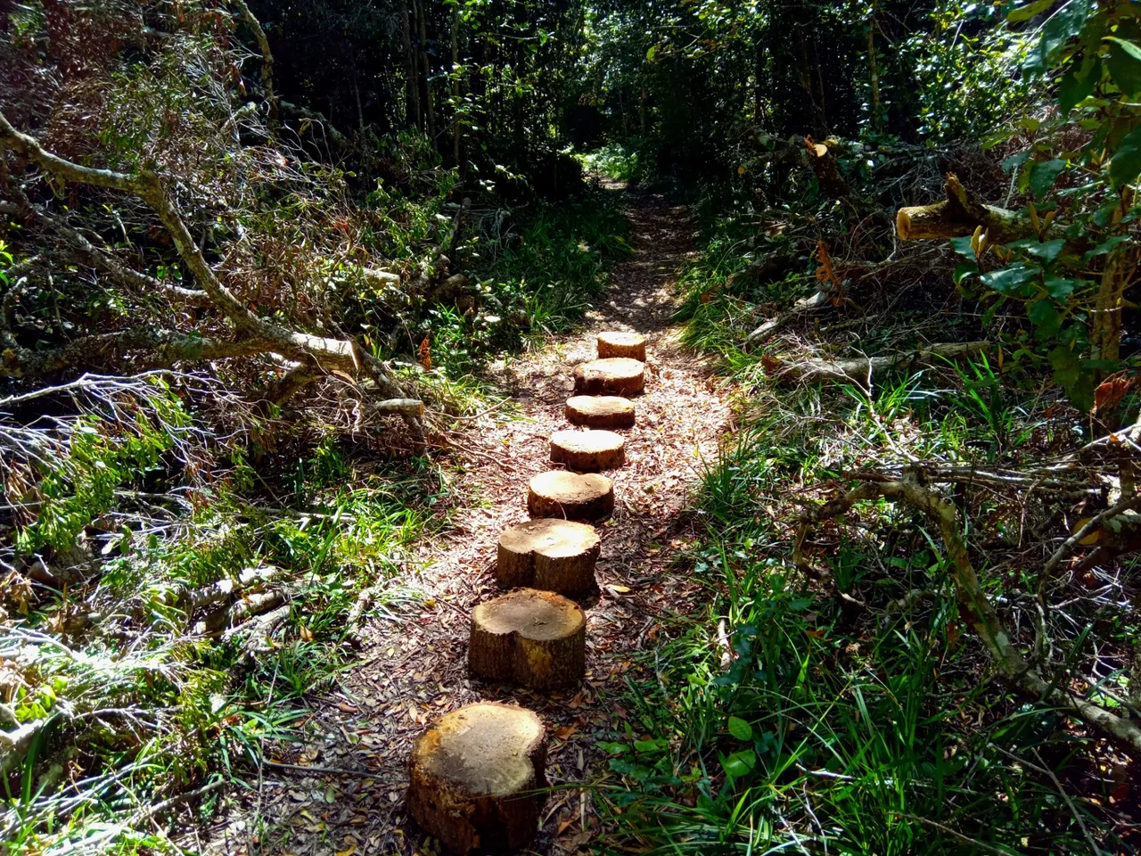 The path with a heart to the golden centre.