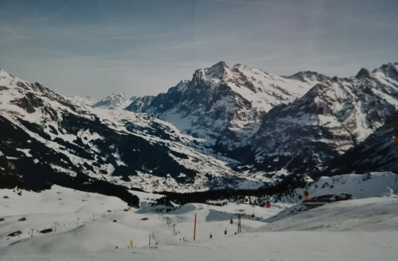 Lucky I had skied before and was able to have a go here as well. The run from the top to the village was much longer and higher than anything I had skied in Australia.