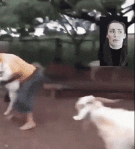 untitled.gif