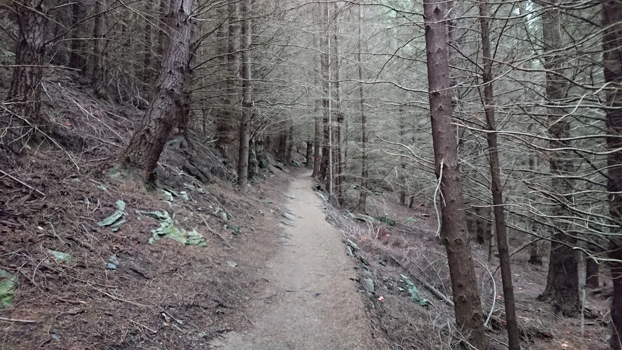 ...as you get further in, it turns darker and eerier