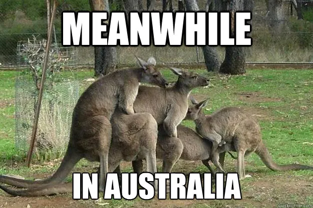 aus.jpg