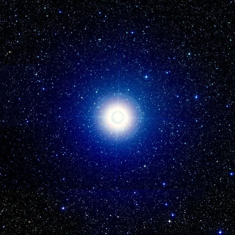 D01.jpg