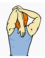 aaa.PNG
