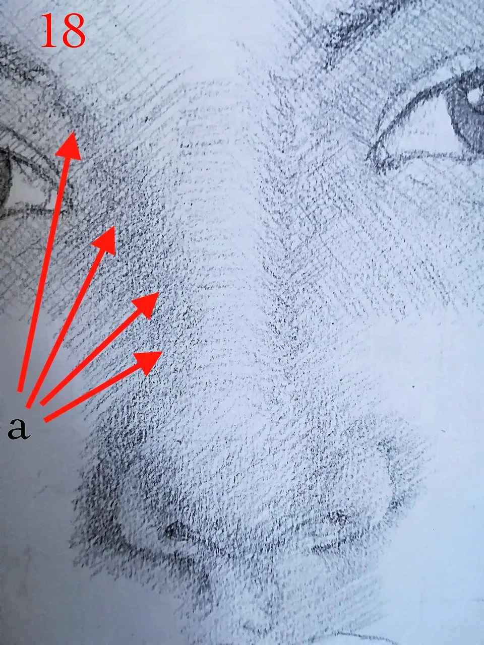 18a.jpg