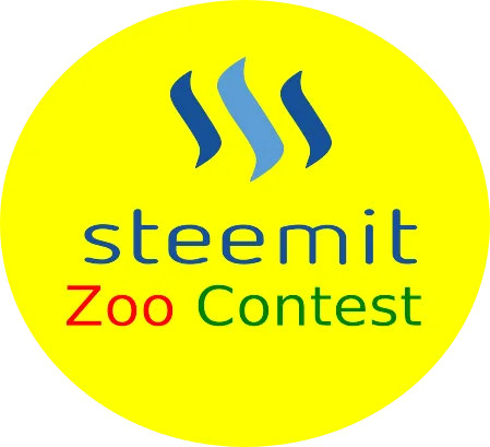 zoo.png