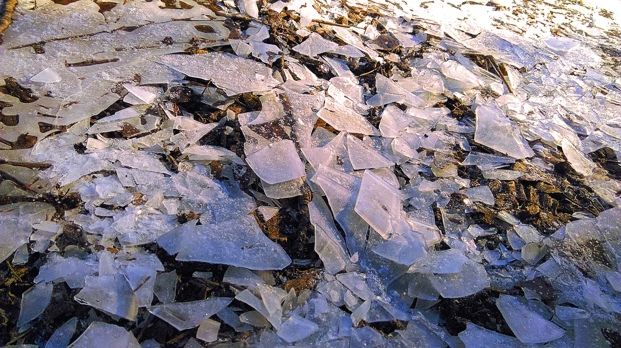 ice.jpg