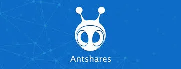ant.png