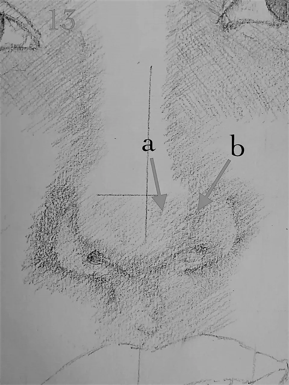 13a.jpg