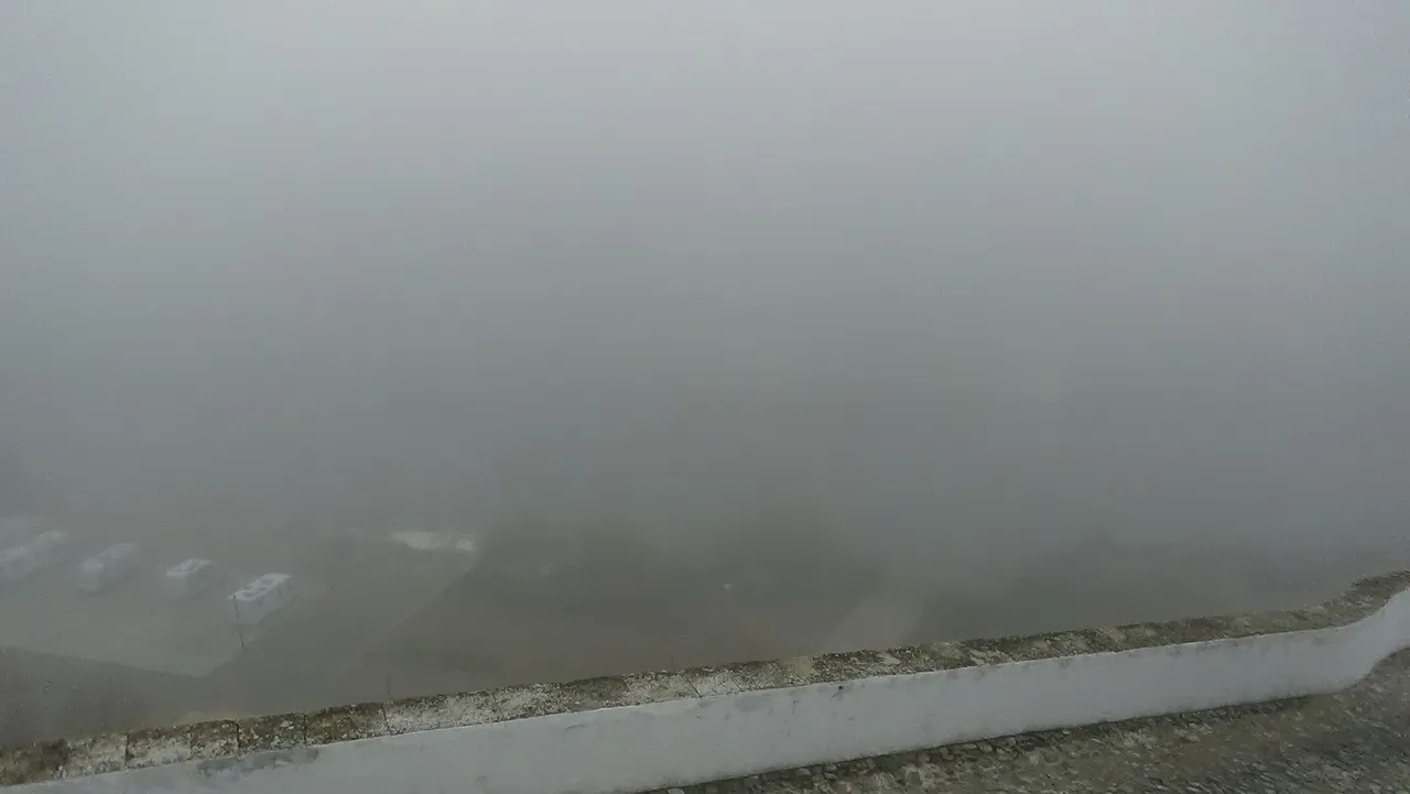 fog.JPG