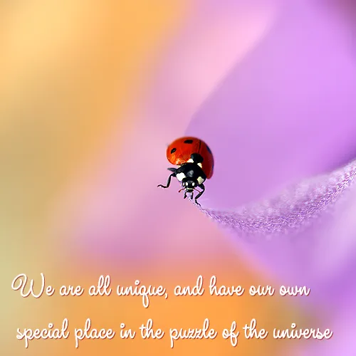 123.png