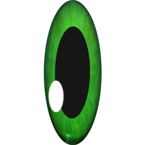 eye.png