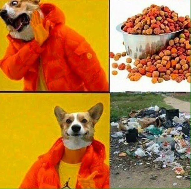 cop.jpg