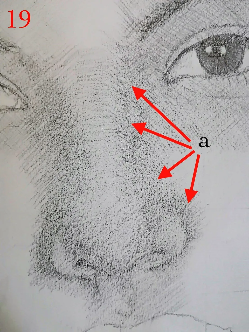 19a.jpg