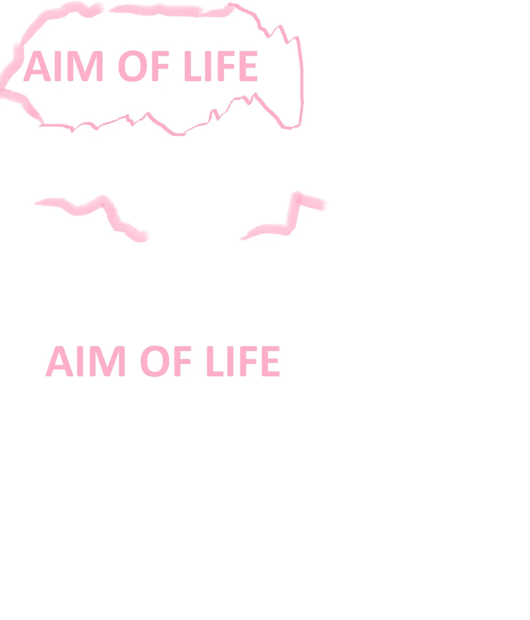 AIM.png