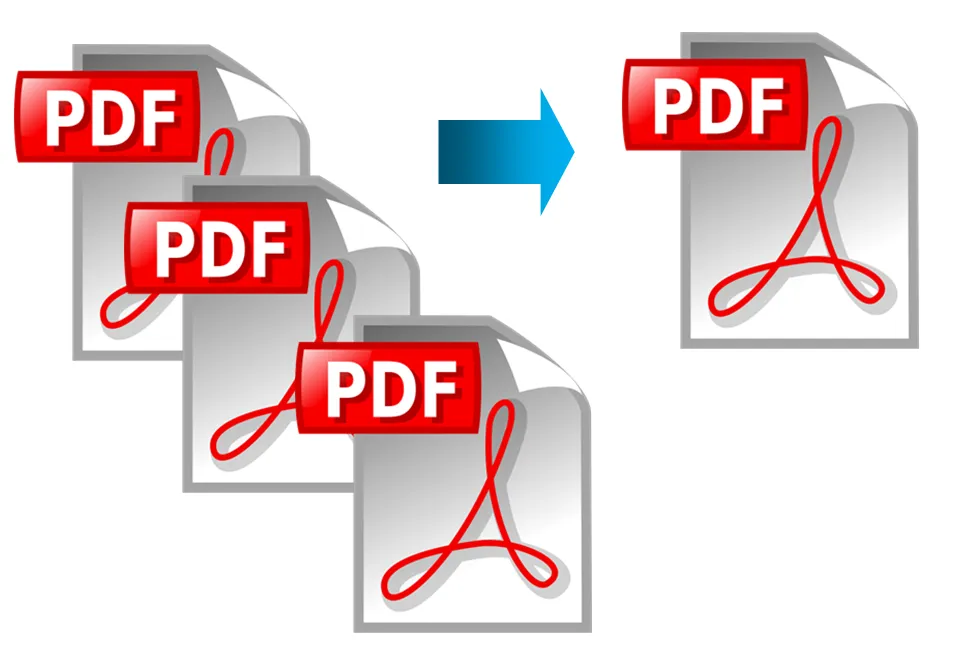 PDF.png