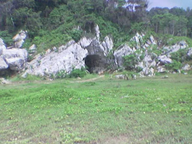 904.jpg