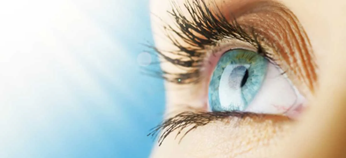 eye.jpg