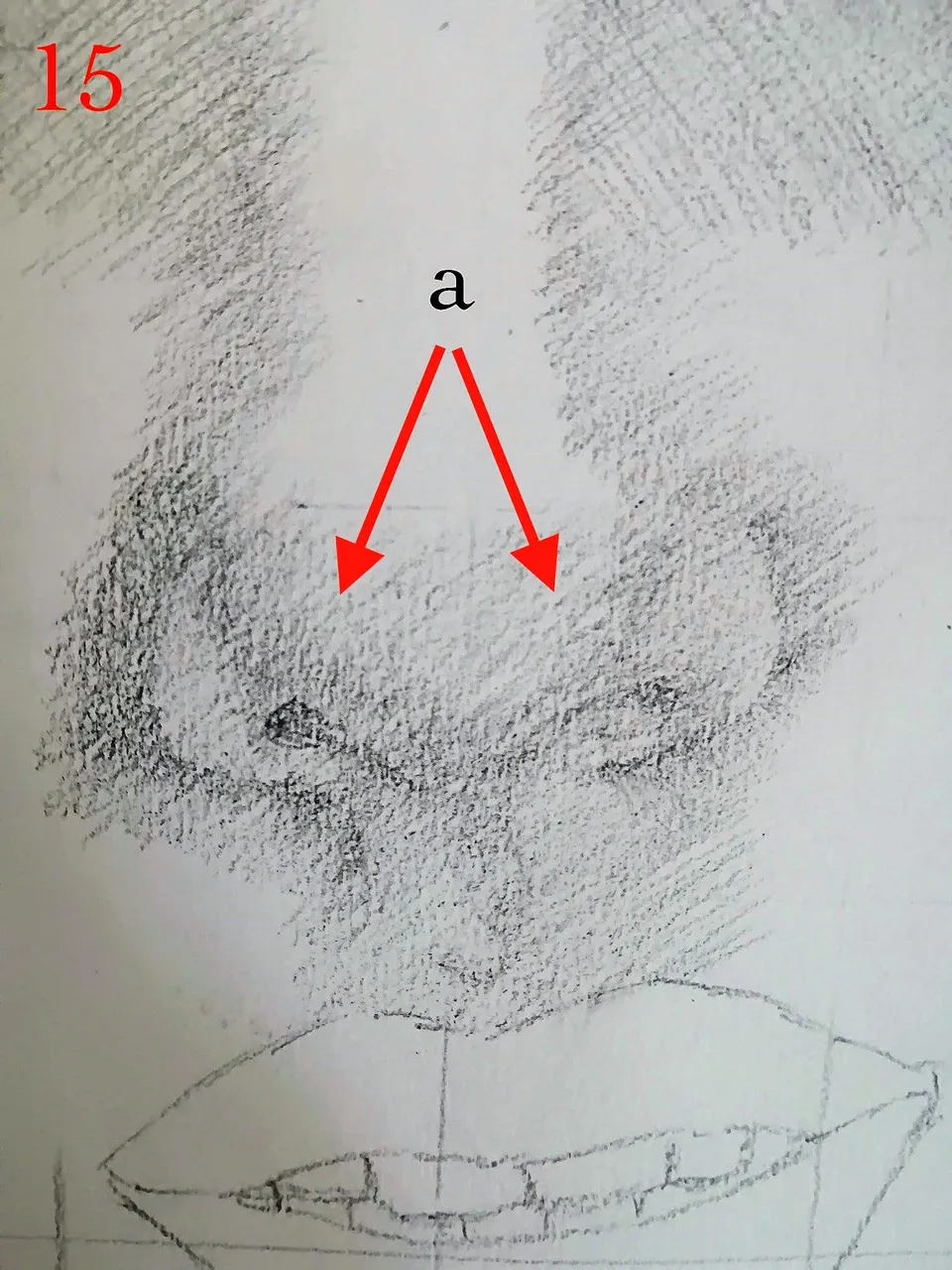 15a.jpg