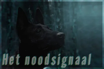 hns.png