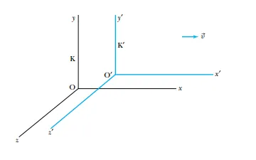 fig.png