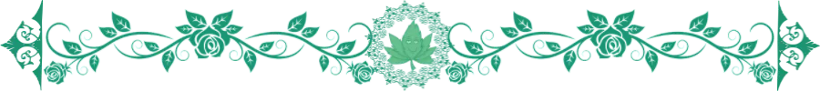 Page Divider Image