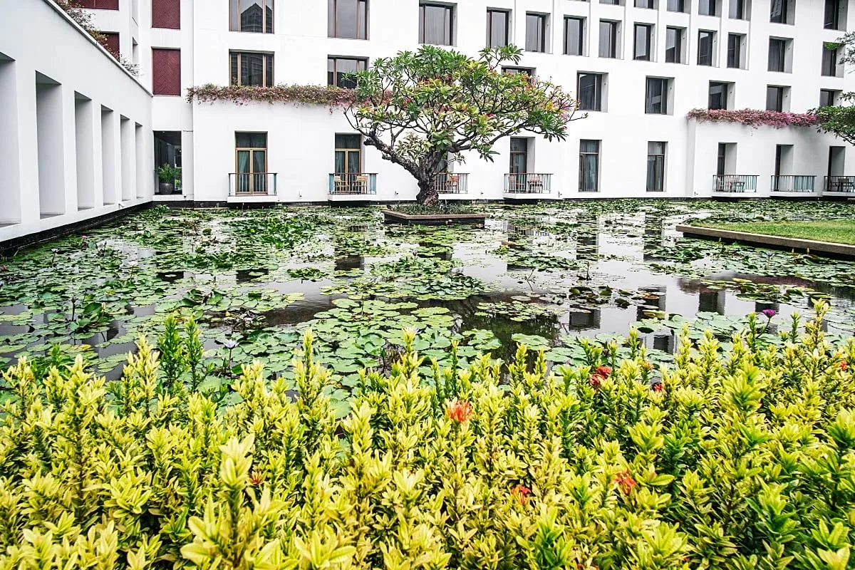 lotus garden at Sukhothai hotel