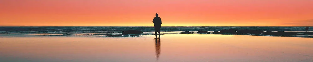 Red Horizon :: Income report may 2020
