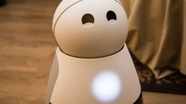 Image result for Kuri the robot