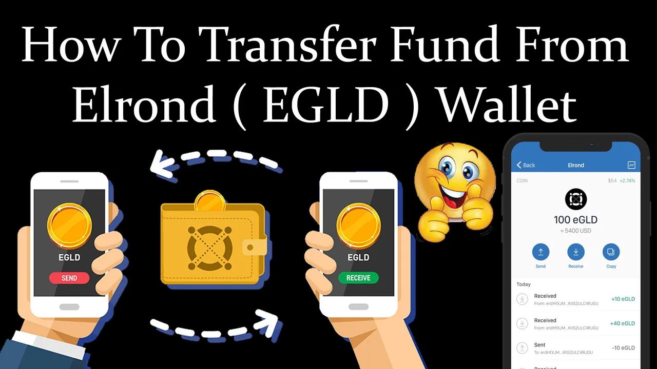How To Transfer Fund From Elrond ( EGLD ) Wallet by Crypto Wallets Info.jpg