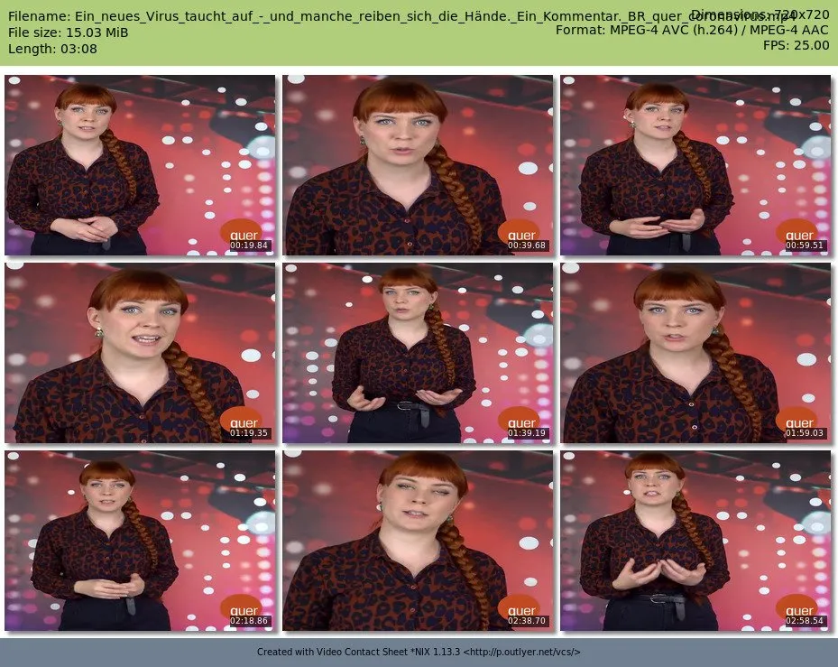 Ein_neues_Virus_taucht_auf_-_und_manche_reiben_sich_die_Hände._Ein_Kommentar._BR_quer_coronavirus.mp4.jpg