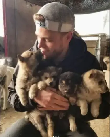 2018_03_03_20_28_58_US_Olympian_Gus_Kenworthy_rescues_90_dogs_from_Korean_dog_meat_farm_Fox_News.png