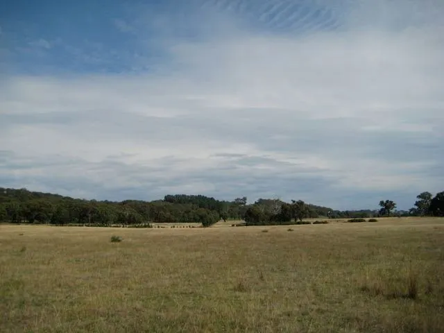 Don't let distance fool you, that gorse is 2m high!