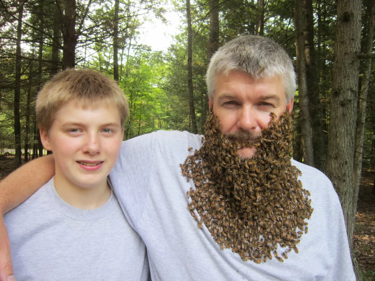 The Mysteries Of A Bee Beard Revealed