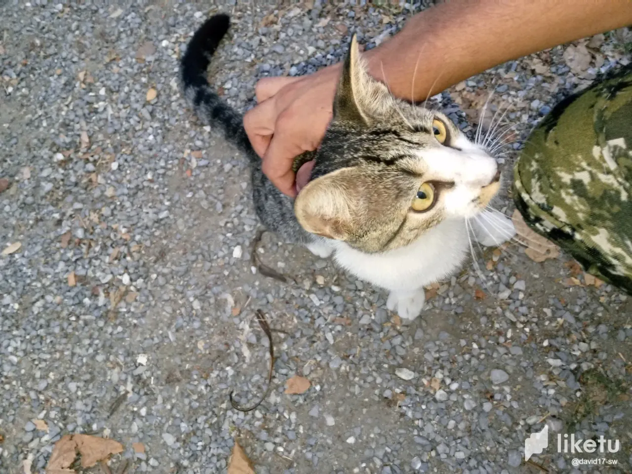 A2DhzXmqunXSp89X_IMG_20250320_184434_184.webp