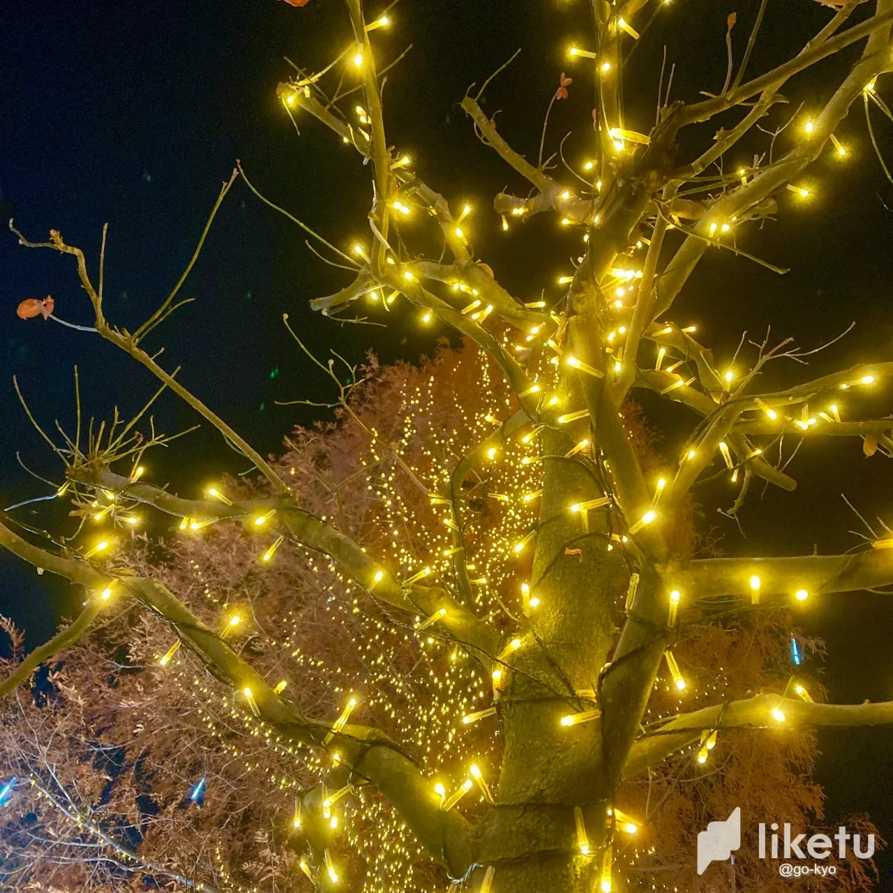 clbqfmrns04mj0woq20f43477_image_6487327_32.webp