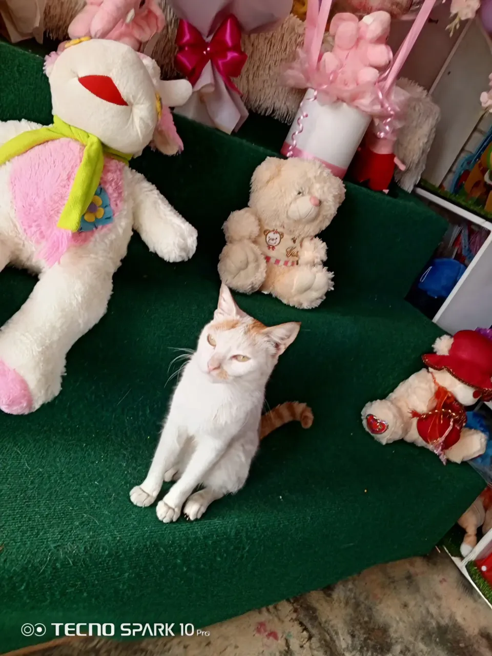 KVwzptvYIpDwyHXk_IMG_20250521_094929_1432.webp