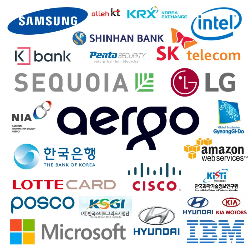 Aergo Institutional Backings & Partnerships.png