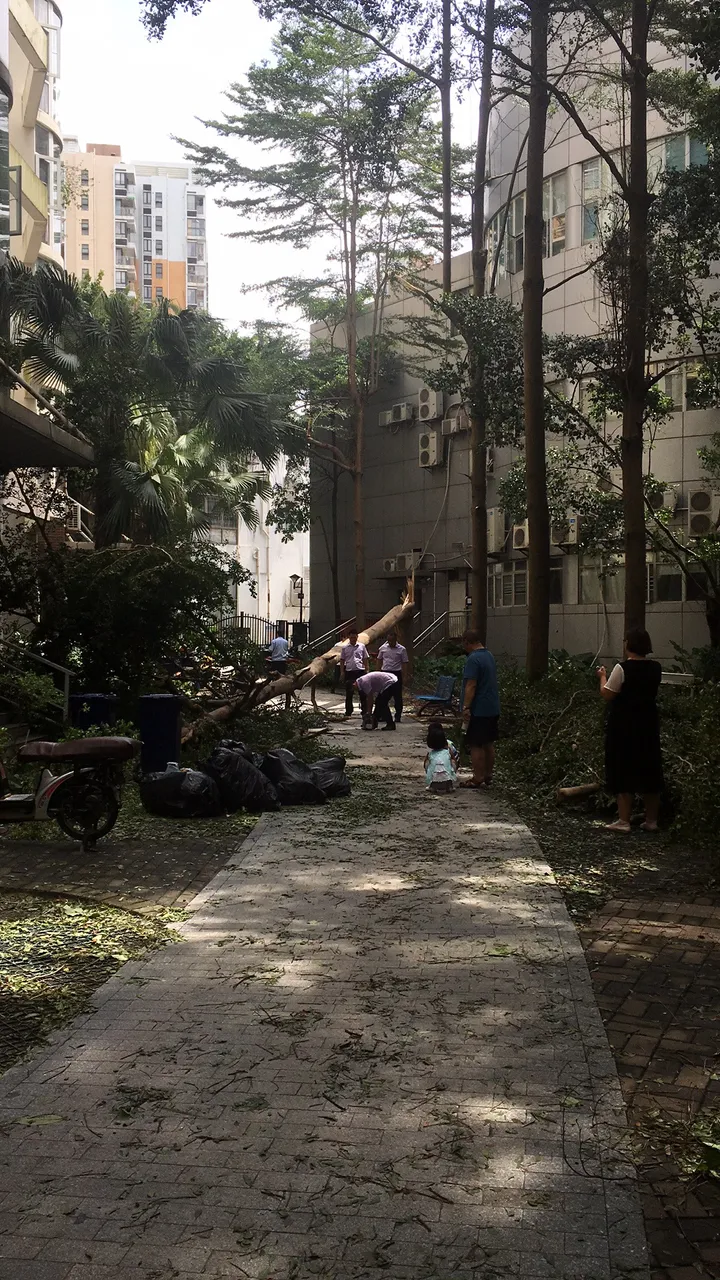 微信图片_20180917114040.jpg